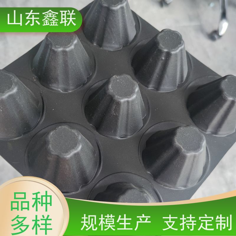 30凹凸型塑料排水板 高密度聚乙烯疏水板 规格齐1到6公分都有