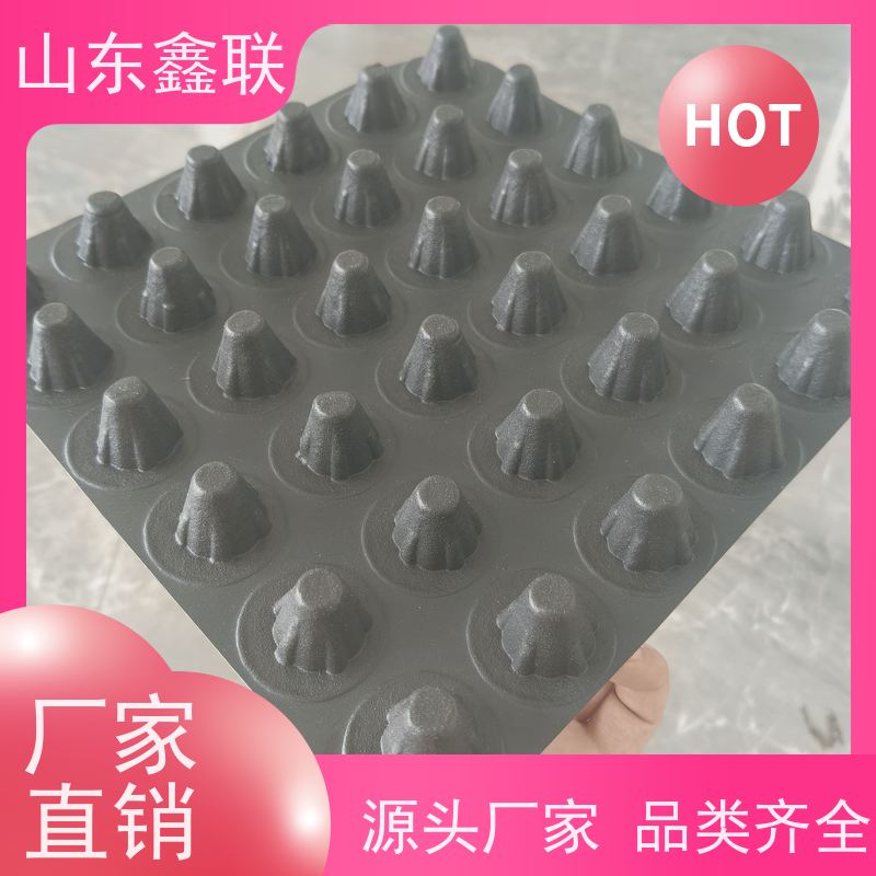 鑫联新新 高强度滤水性好 HDPE 车库顶板屋顶花园 塑料排水板