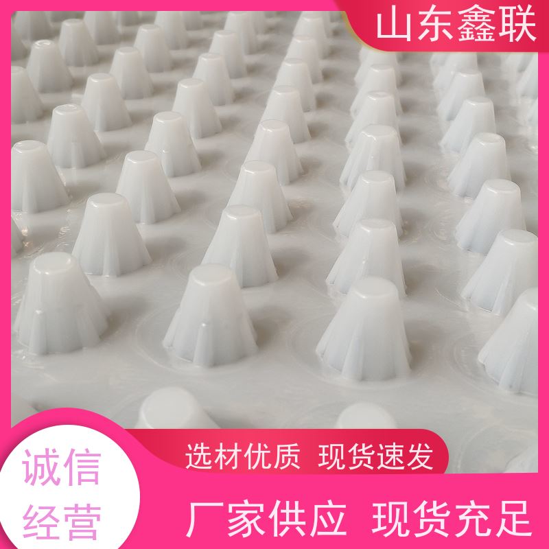 2cm厚网状交织排水板 30mm车库顶板用黑色疏水板 蓄水养殖根系