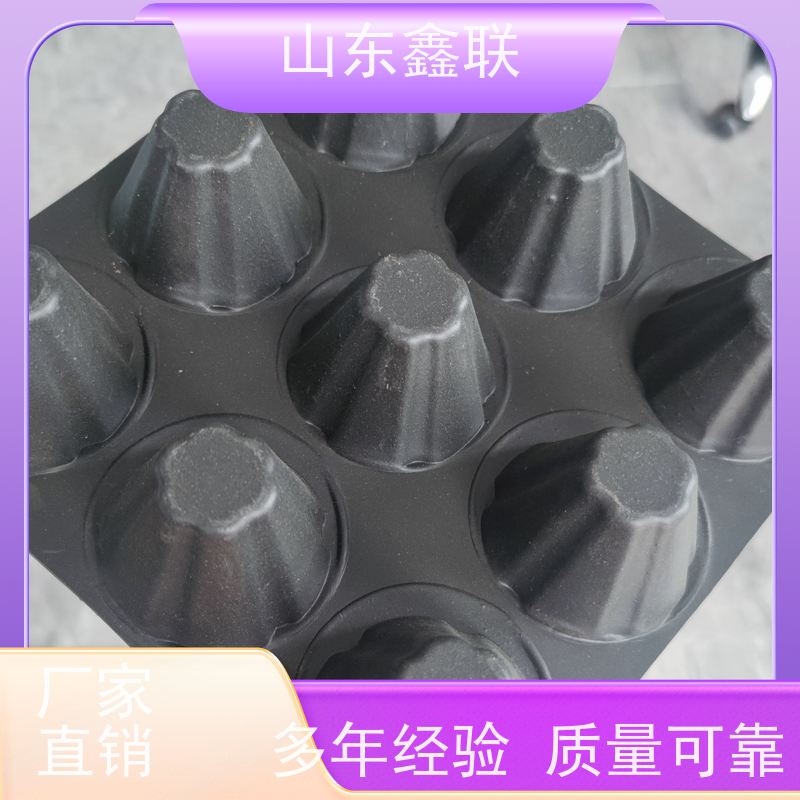 鑫联新凹凸型塑料排水板 常规高度20mm 网状交织排水层