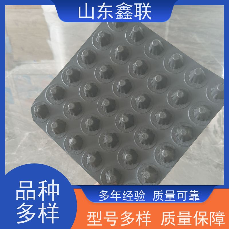 鑫联 高密度聚乙烯疏水板 阻根HDPE透水蓄水板 长期备有现货