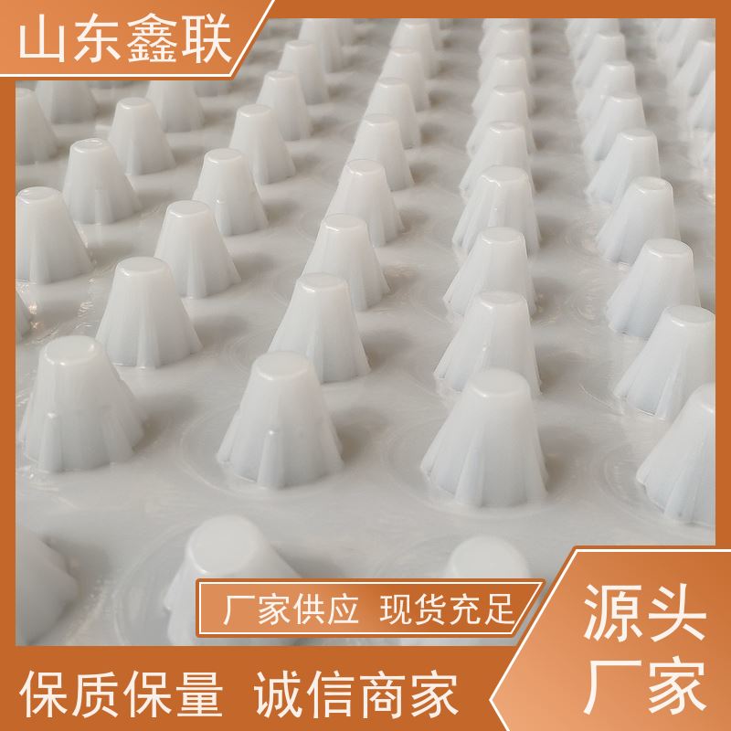 双面凹凸型土工排水板 阻根抗穿刺塑料疏水滤水PE聚乙烯材质