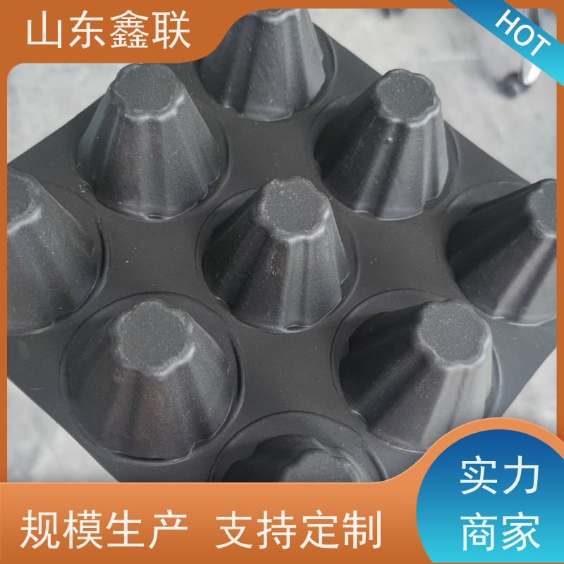 HDPE卷材排水板 聚丙烯蓄水板 块状滤水板 车库顶板