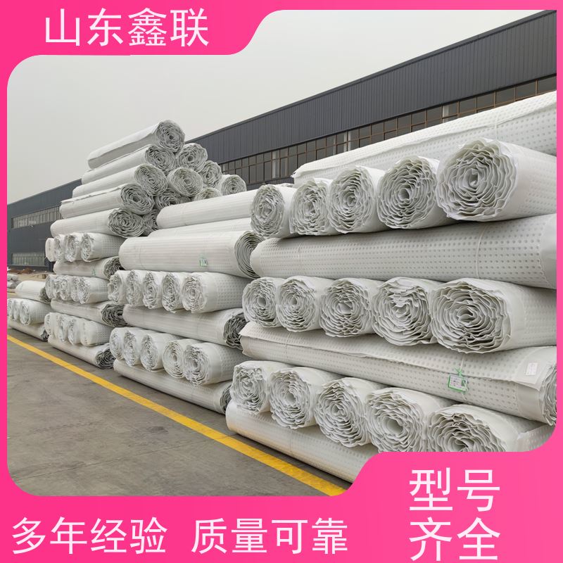 鑫联新新 小区雨水虹吸排水系统 1400g高分子防护排水异形片