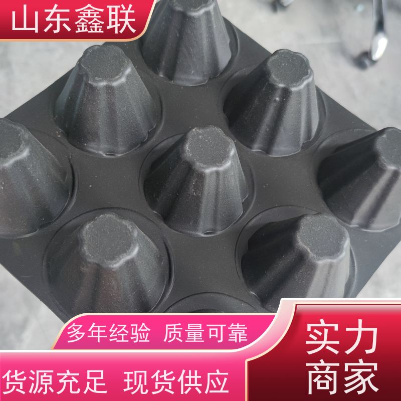 车库顶板HDPE塑料排水板 楼顶花园凹凸疏水板 导水性抗压强度高