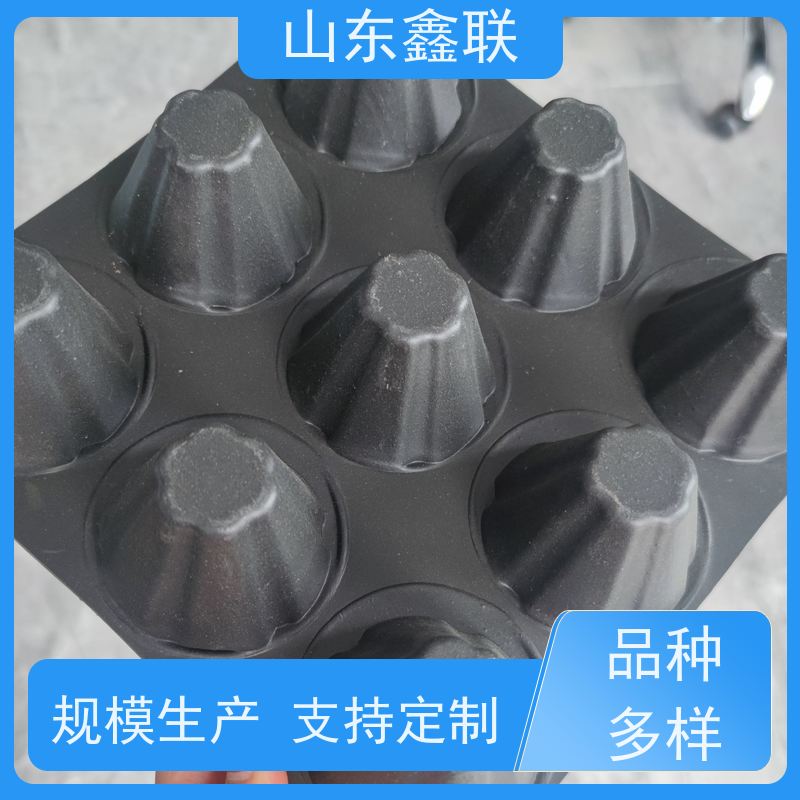 虹吸排水板 表面凹凸型塑料排蓄水板 车库零坡度排水疏水板