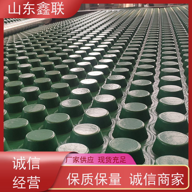 土工席垫垃圾填埋场工程绿化排水透气塑料渗排水片网状交织排水板