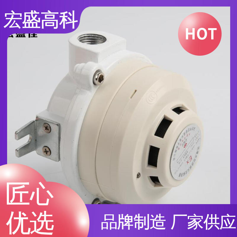 宏盛佳RS485输出 防爆烟雾传感器 DC24V工作电压 G1/2接口 工业安全