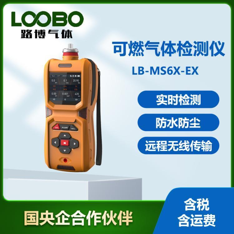 手持式可燃气检测仪 便携式泵吸EX气体分析仪
