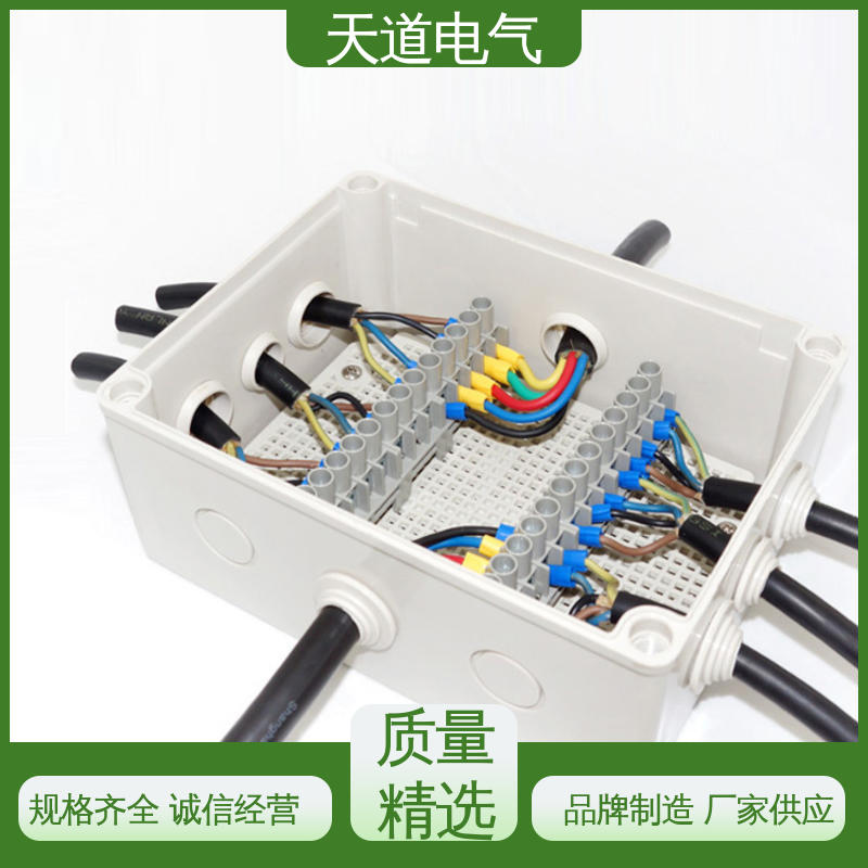 耐寒阻燃 塑料防水接线盒 支持来图设计 天道电气