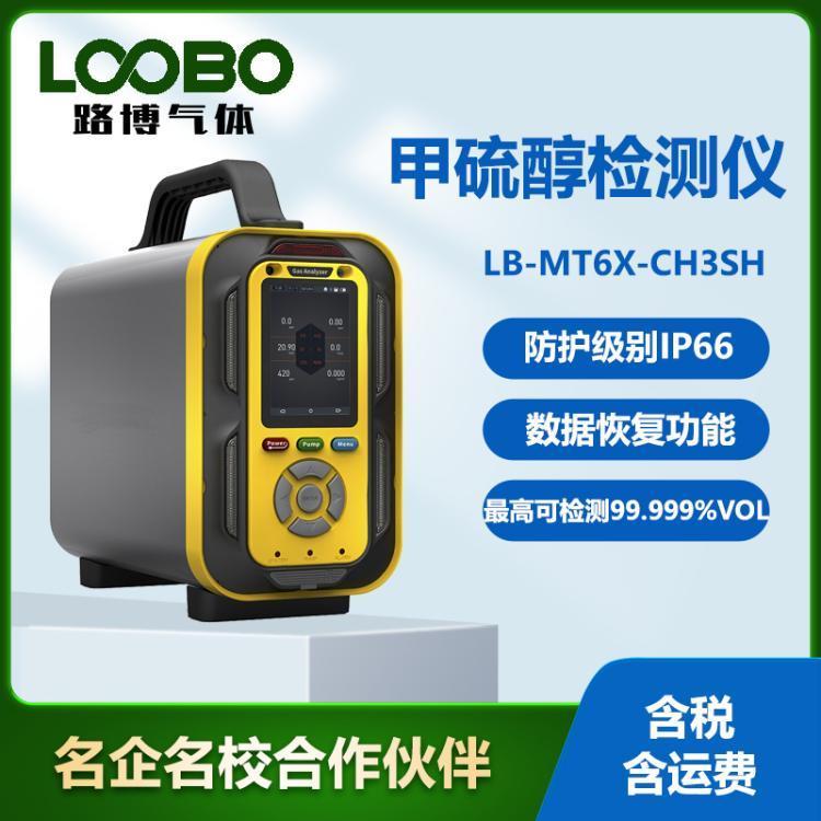 路博气体检测仪 LB-MT6X-CH3SH 防护级别IP66 数据恢复功能