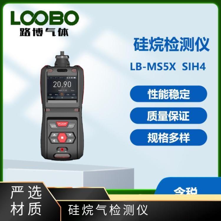 硅烷气检测仪 高精度高性能 用于电力冶金行业 路博研发