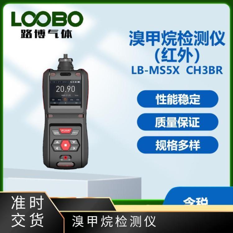 溴甲烷检测仪 红外原理高精度 厂家路博LB-MS5X