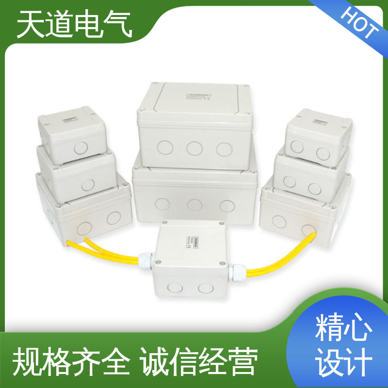 D系列 塑料防水接线盒 防尘耐用抗冲击 天道电气
