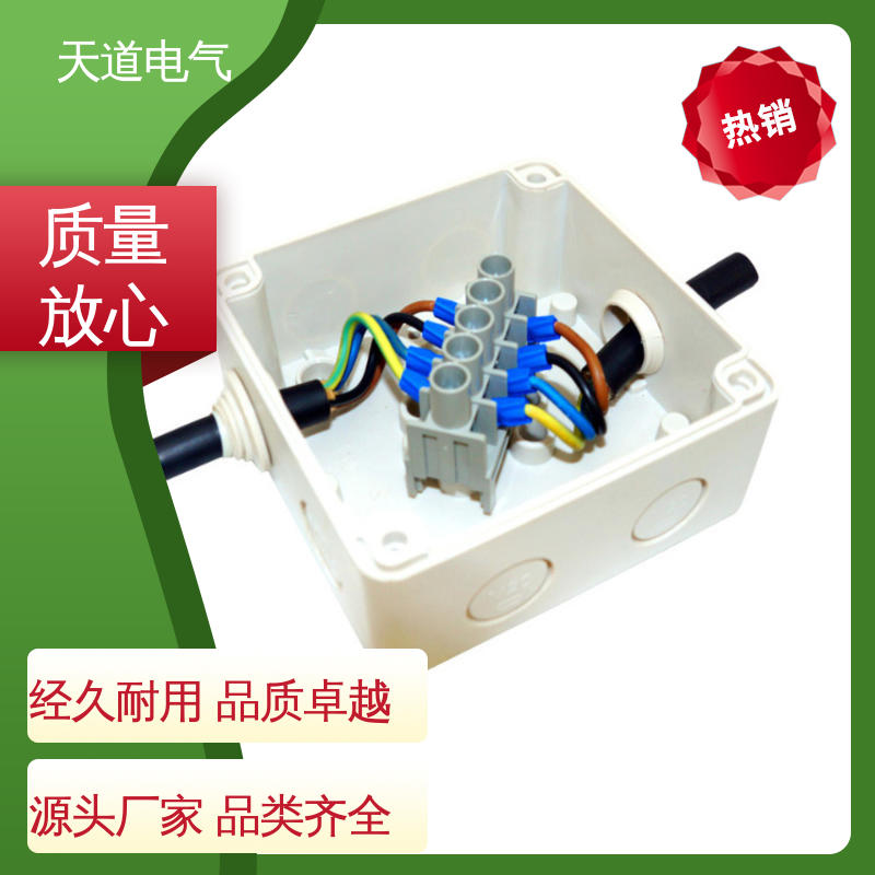 D系列 精细实用 暴雨无忧 塑料防水接线盒 天道电气