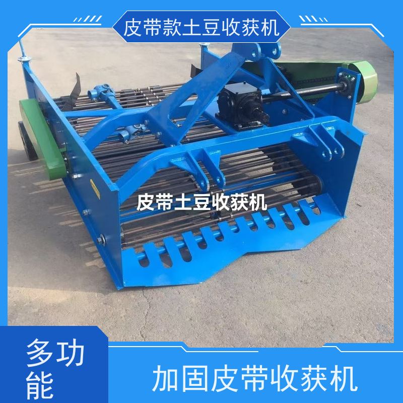 多功能加固皮带土豆收获机 轻松过沟过坎 皮带的魅力