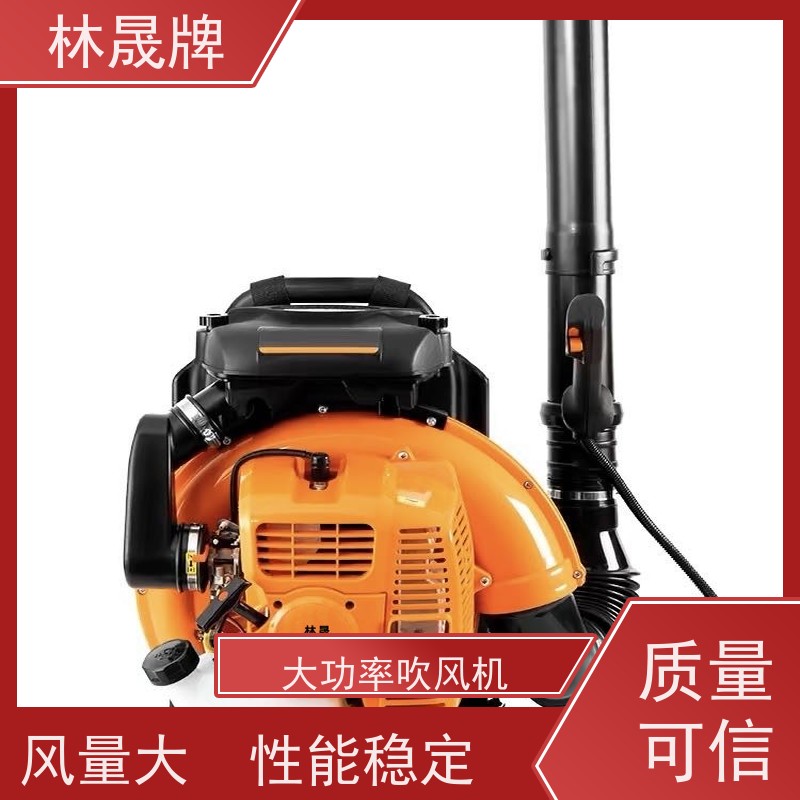 林晟牌 大功率背式吹尘除雪机 灭火机 背负式使用 全国供应