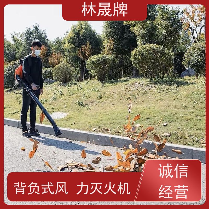 林晟牌 机械吹雪机 二冲程风力灭火机 使用方便 支持定制