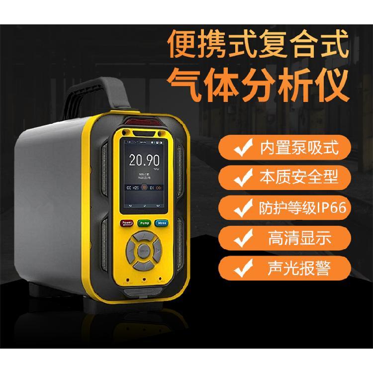 LB-600S手提式二氧化硫气体分析仪 本安电路设计 抗静电 抗电磁干扰