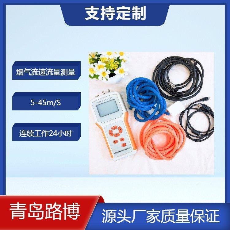 路博烟气流速流量仪 自动计算 平均流速 压力 烟气流量 工作时间24小时