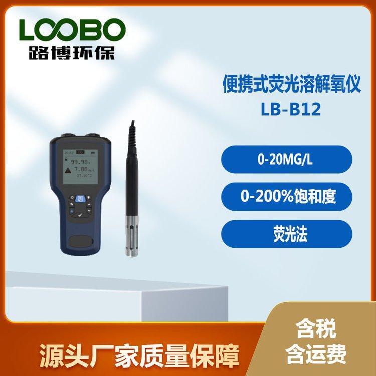 路博便携式荧光溶解氧仪 中英文 量程0-20mg/L 0-200%饱和度 对标哈希