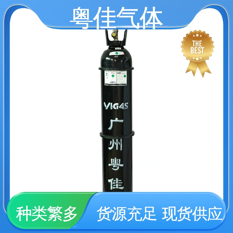 塑料发泡干燥成型 氮气供应 真空镀膜辅助 可定制 粤佳气体