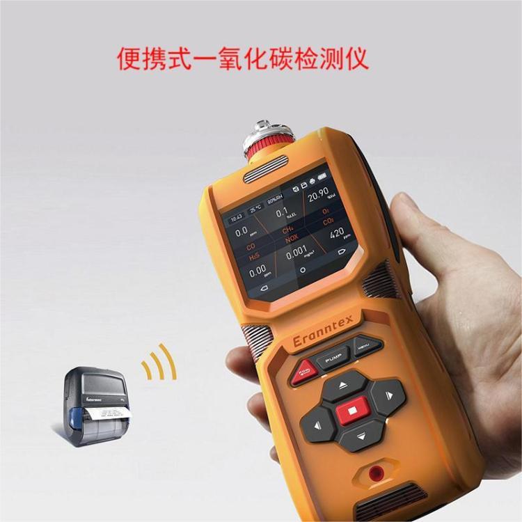 LB-600-CO便携式一氧化碳检测仪 内置泵吸式测量 流量500毫升/分钟