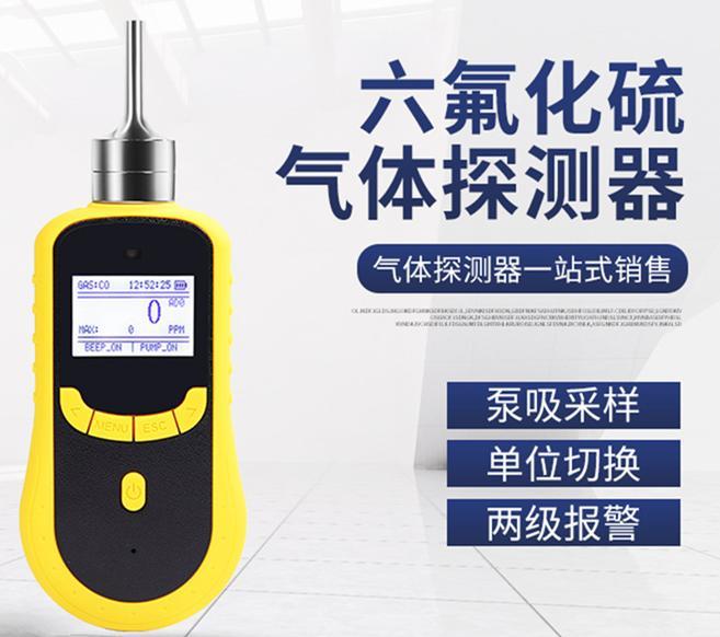 泵吸式六氟化硫检测仪 内置大吸力微型泵 可同时选测1-6种气体