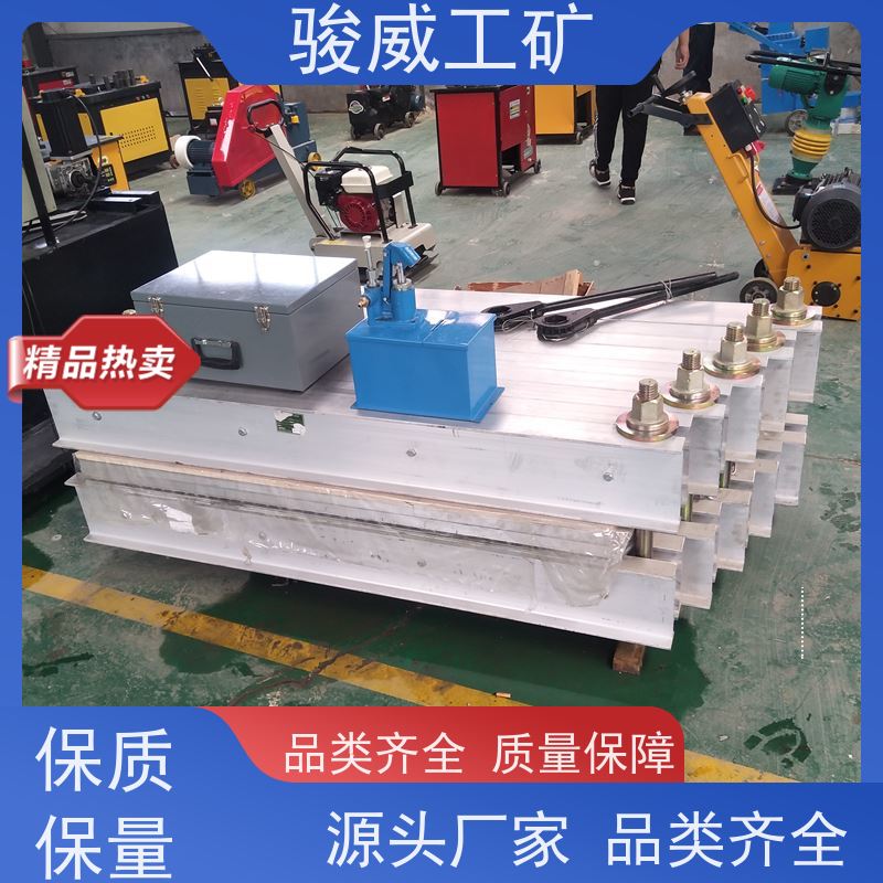 厂用 1400*1000 橡胶带硫化机 电动加压泵 防爆型可选