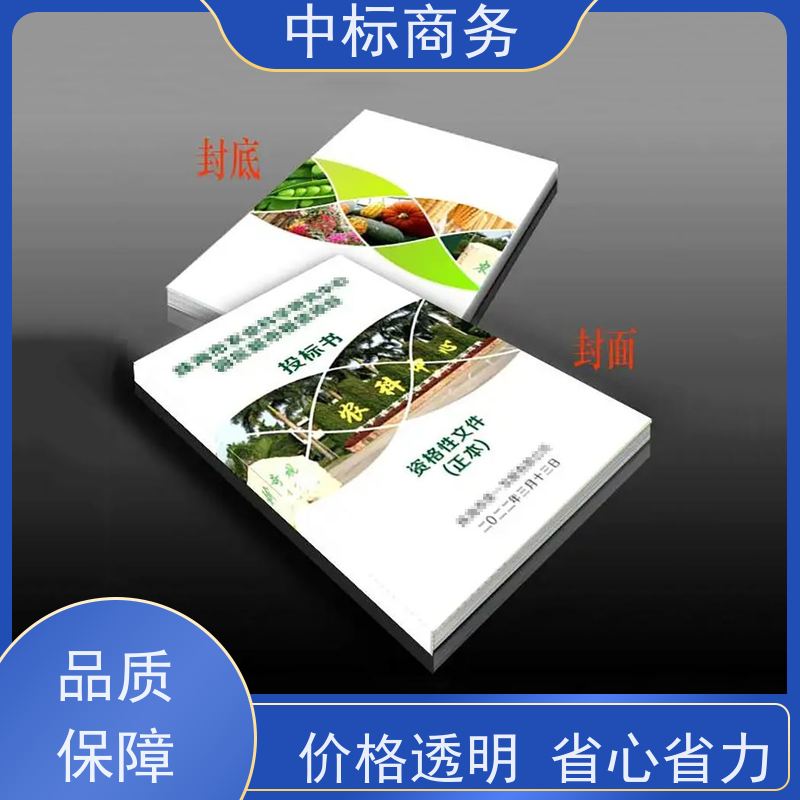 中标商务 成 都 代做投标标书 优秀的排版设计 为客户量身定制