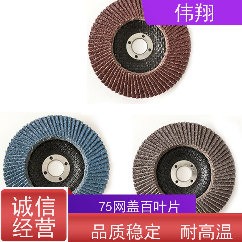 伟翔 金属抛光片 75铁盖百叶轮 散热性好 噪音低 诚信经营
