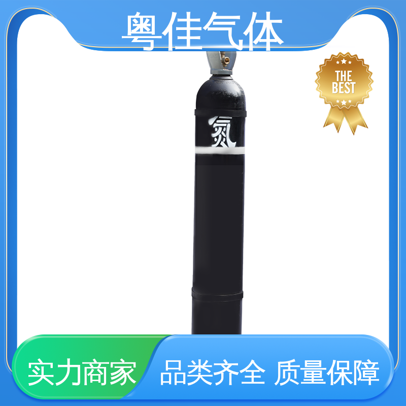 实验室研究载气 化工反应惰性介质 可定制 氮气供应 粤佳气体