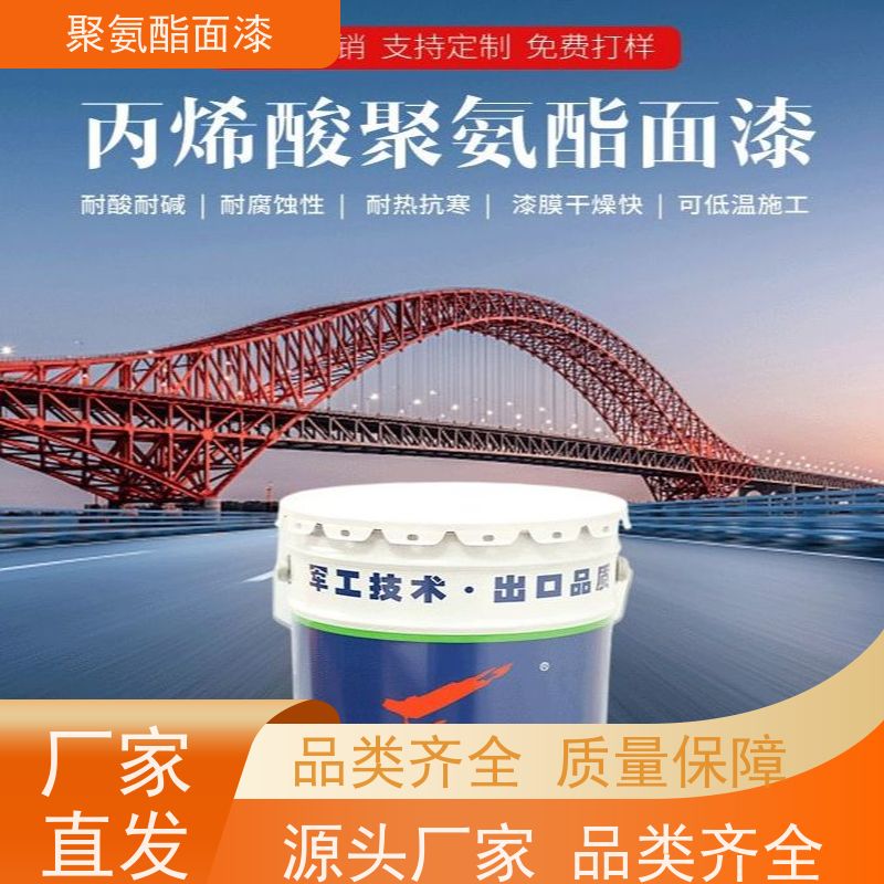 双组份丙烯酸聚氨酯油漆 中灰丙烯酸聚氨酯面漆 金属结构耐候防腐漆