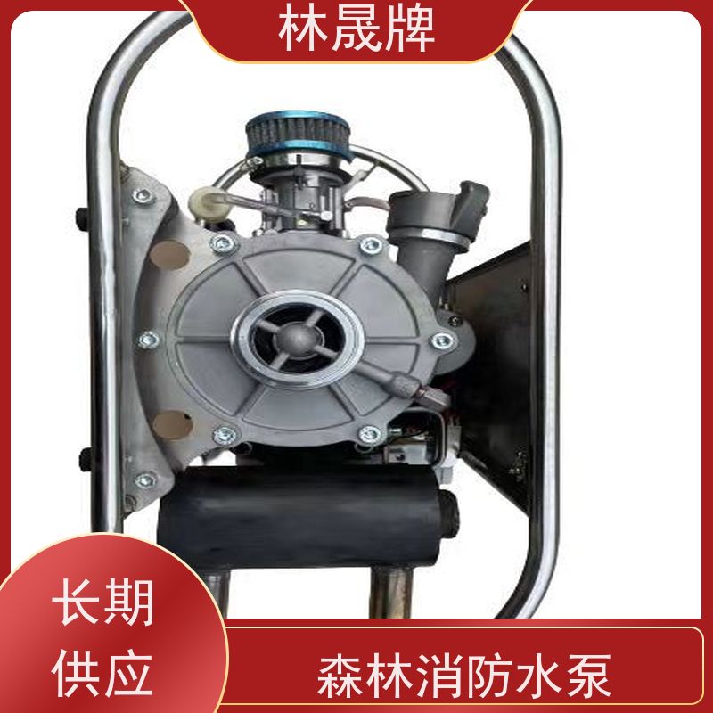 林晟牌 应急水泵 手抬机动泵 流量6.9L/min 品质可信
