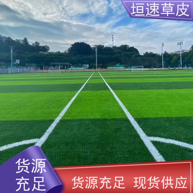 垣速草坪 专业足球场建造弹性防滑 足球场塑胶草坪 笼式足球场建造
