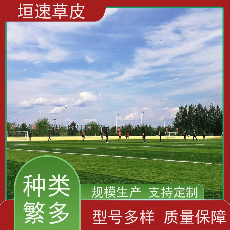 垣速草坪 建五人制足球场现货出售 门球场塑胶草坪 室外足球场改造