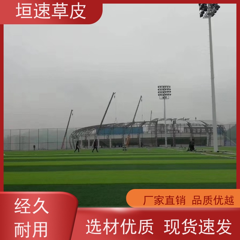 垣速 建设足球场地吸震性能好 塑胶足球场基地直供 湖州足球场地翻新