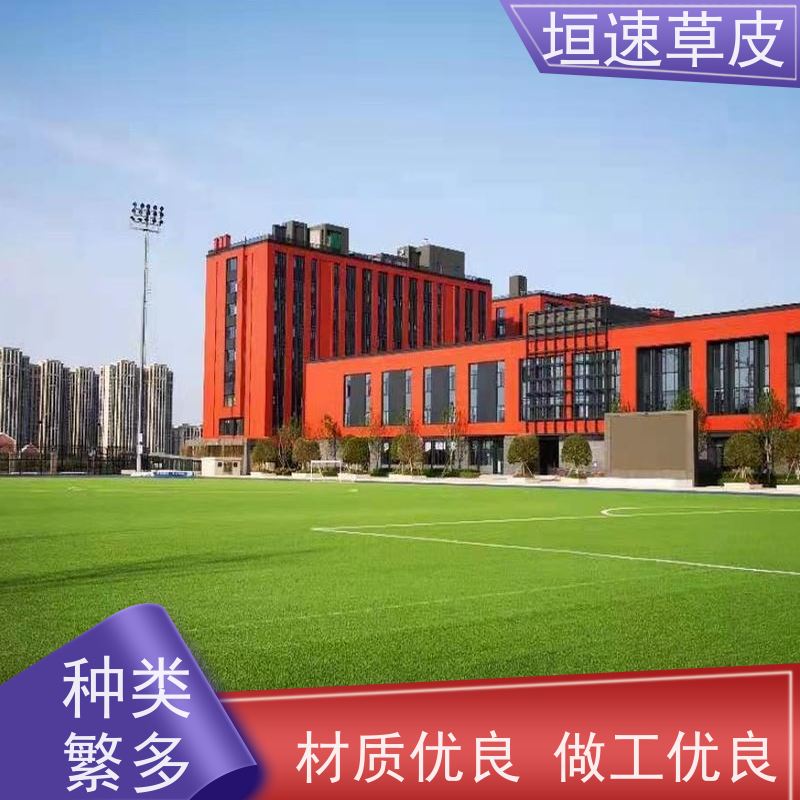 垣速 足球场草坪重建色彩丰富 篮球场草坪施工队 杭州足球场建筑
