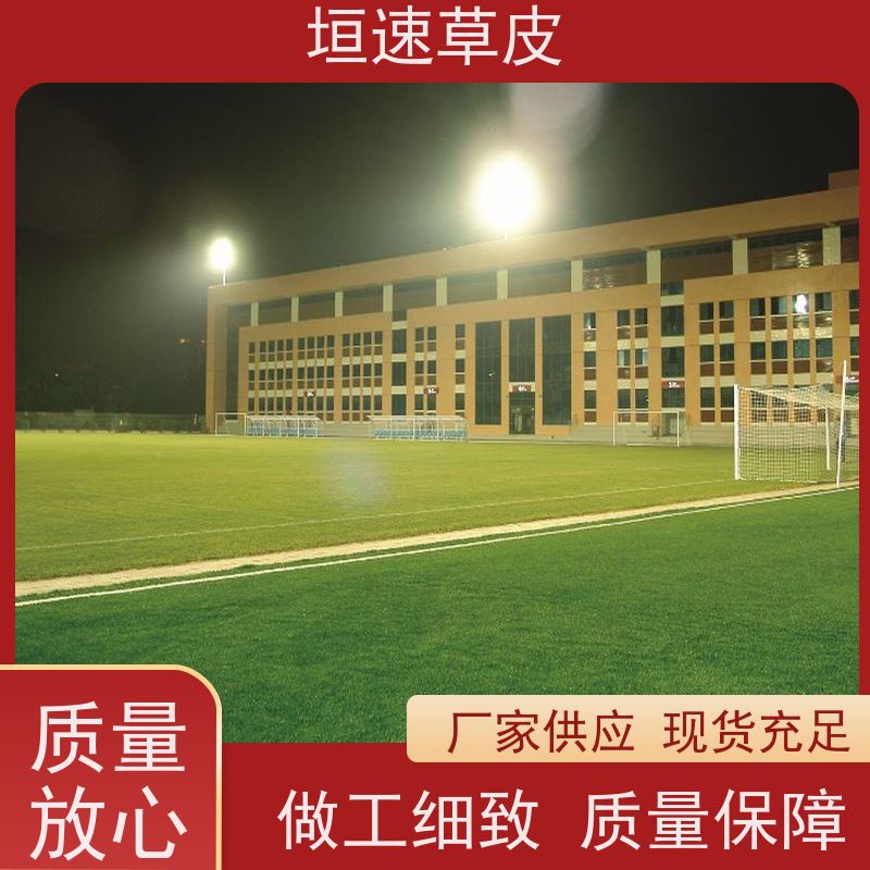 垣速草坪 足球场地坪翻新防腐耐磨 羽毛球场人工草皮 建设足球场工程