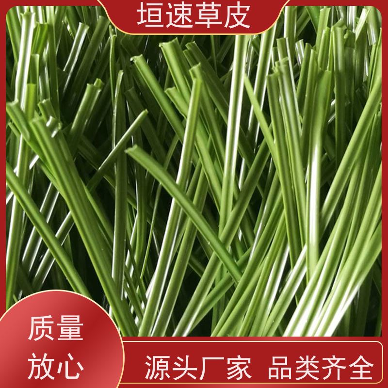 垣速草坪 门球场建设设施现货出售 足球场塑料草皮 足球场翻新改造
