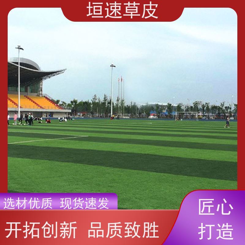 垣速草坪 足球场地建设舒适度好 塑胶足球场 足球场建设设施