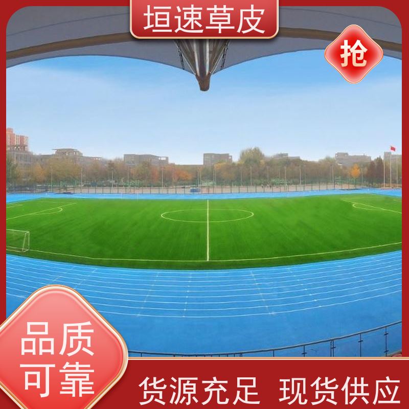 垣速草坪 足球场草坪翻新按需定制 足球场塑胶草坪 学校建设足球场