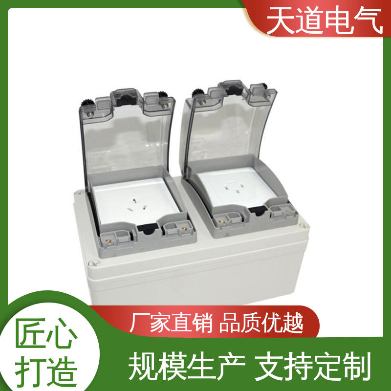 发货迅速 支持开票 86型双联开关防水盒 IP66多回路 天道电气