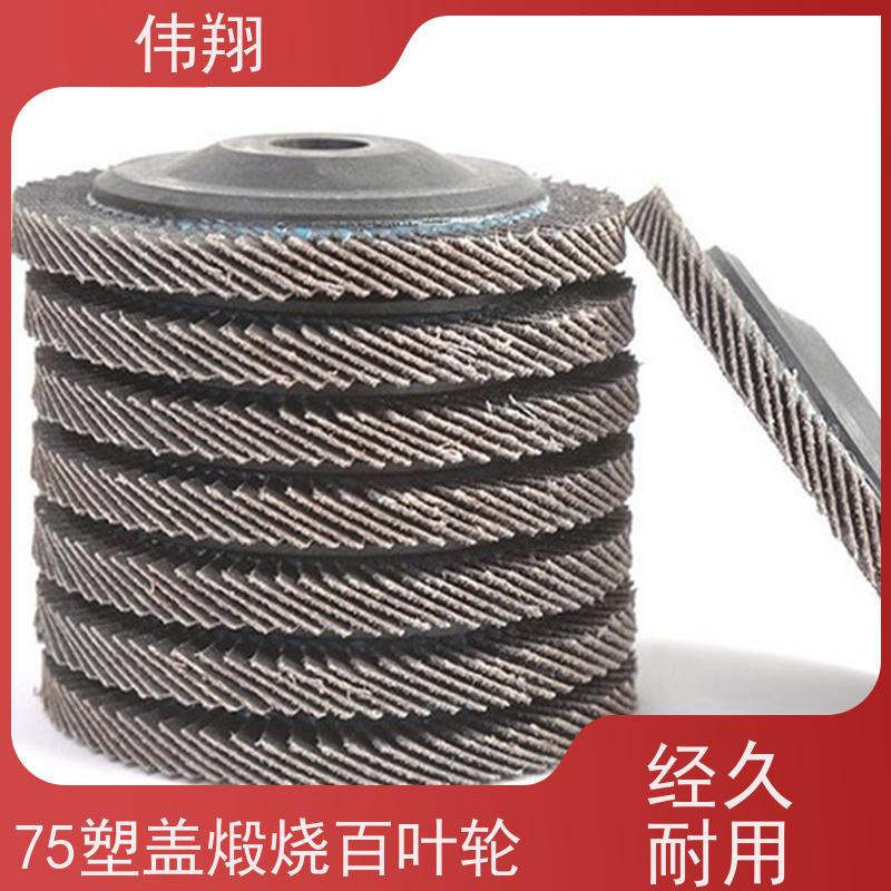 伟翔 百叶片 用于打磨普通金属 接受贴牌加工定制