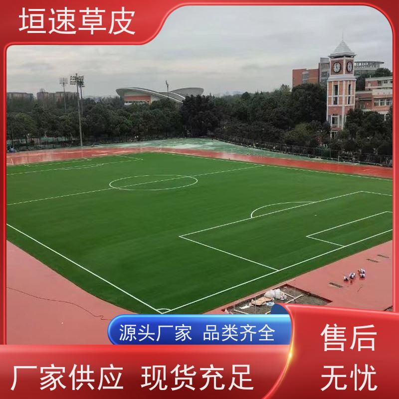 垣速 笼式足球场建造弹性防滑 仿真人造草坪基层要求 上海足球场承建
