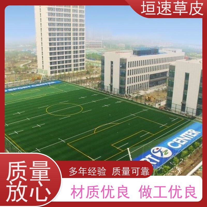 垣速草坪 专业建造足球场 笼式足球场建造弹性防滑 门球场仿真草