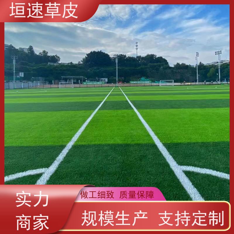 垣速草坪 足球场施工建设 学校建设足球场舒适度高 人工草坪篮球场