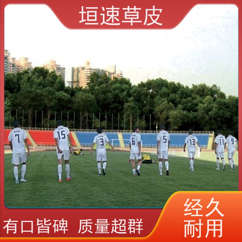 垣速 修建足球场地弹性防滑 人造草网球场单价 上海足球场承建