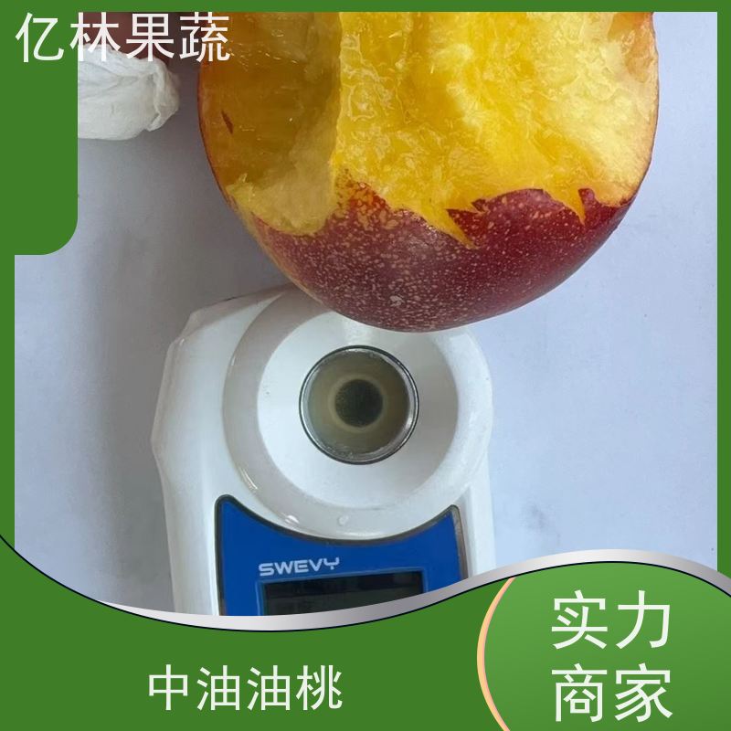 中油4号油桃 新鲜水果桃子批发 口感甜脆 油蟠桃 脆甜多汁 全国直供