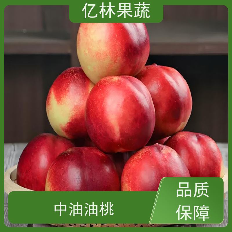 大棚油桃出售 中油4号黄桃 亿林农产品 果蔬汁多甘甜品种好